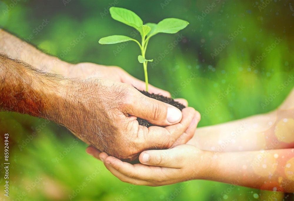 Poster Hands, plant, green.