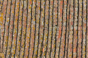 Ageing rooftiles in Siena Italy
