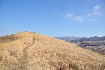 Top of SaeByeol Volcanic Cone in Jeju Island