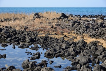 Basaltic Sea side in Island in South Korea