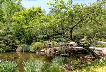 Trees Around Garden Pond
