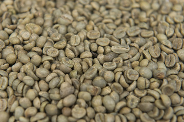 Rohkaffee Bohnen zum Rösten