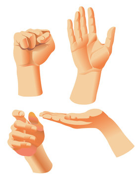 Hands