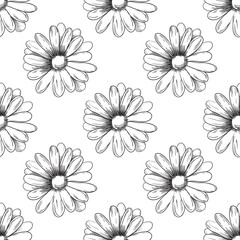 Flower pattern. Camomile drawing. Vector