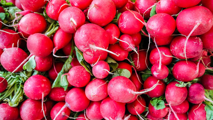 viele Radieschen