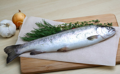 Raw trout