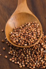 Sorghum, rice