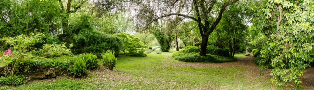 Giardino