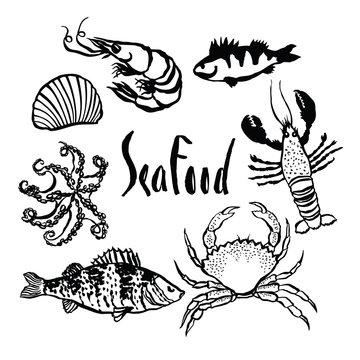 Sea food set