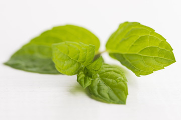 Fresh raw mint leaves isolated on white background