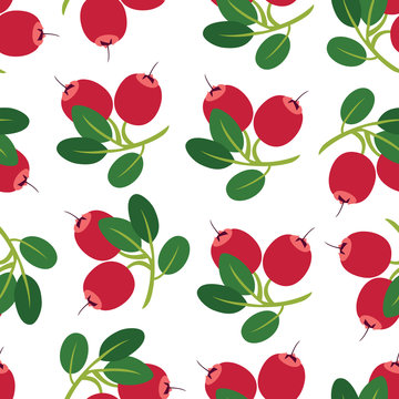 Cranberry background