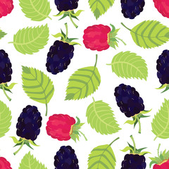 Blackberry and raspberry background