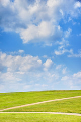 Obraz premium green hill with blue sky