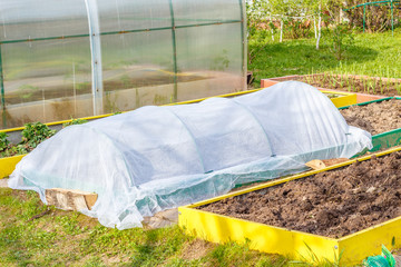 Seedbed on the Household plot. Vegetable garden. Dacha.  Russia