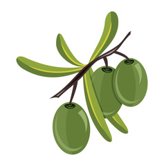 Olives