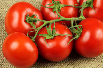 tomates grappe 27062015