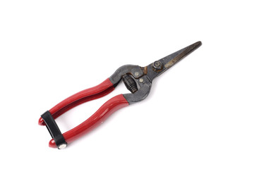 scissor for gardening