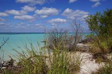 Idyll, Strand, Kuba, Cuba