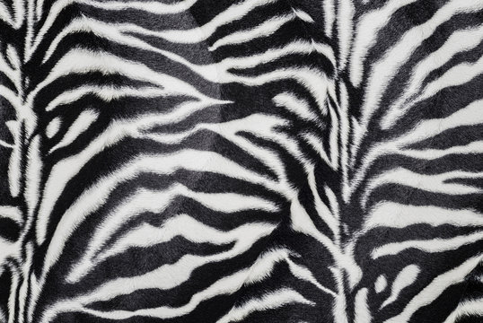 Zebra texture.