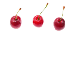 sour cherries
