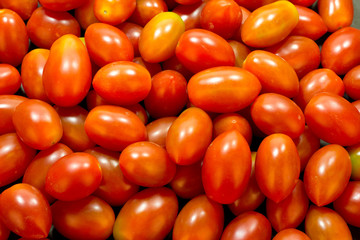 Fototapeta na wymiar Fresh tomato