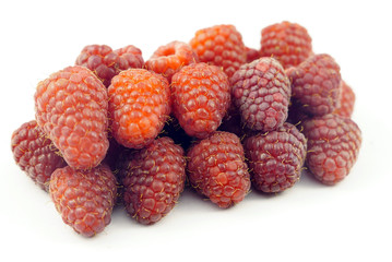 Raspberry on a white background
