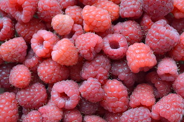 Текстура с малины 