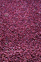 pile of red dry pepper