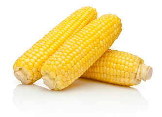 Corn on the cob kernels peeled isolated on white background