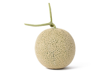 closeup of fresh melon
