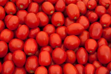 group of tomatoes