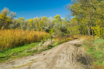 Fall landscape in central Ukraine near Dnepropetrovsk city