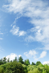 Obraz premium Green trees and clear sky with some cloud