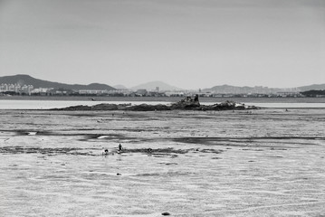 mud flat in front of city and people