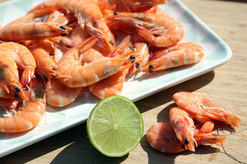 scampi