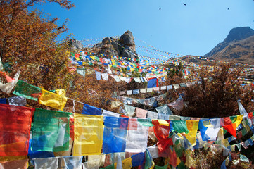 Himalaya  prayer flags 