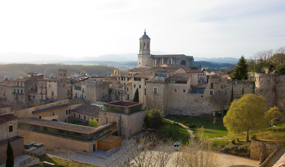 Fototapeta na wymiar Catedral de Gerona vista desde la muralla.