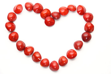 Saga seeds forming a heart