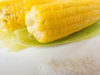 boiled fresh ripe corn with salt on a plate © pfongabe33