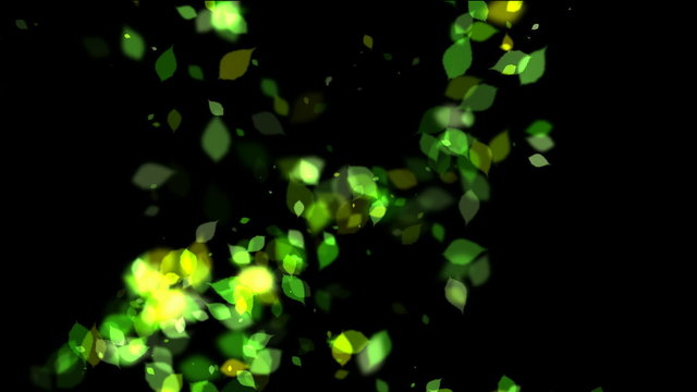 Multiplying green leaves