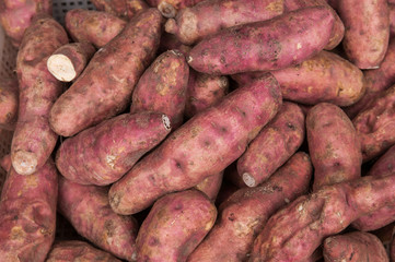 sweet potato