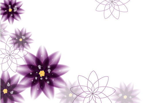 Vector floral background - purple flowers