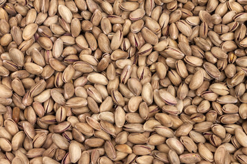 group of pistachio