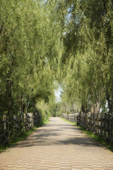 Fototapeta premium pathway with wooden banister