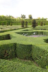 green labyrinth