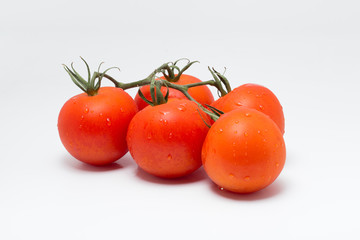 トマト（房付きのトマト）　横位置