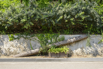 wooden bridge for animals