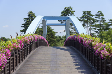 bridge with petunia flowers