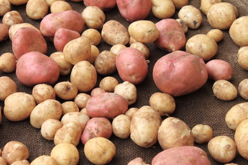 potatoes raw vegetables food on sacking for pattern texture and background