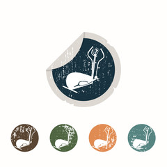 Fitness trainer icon